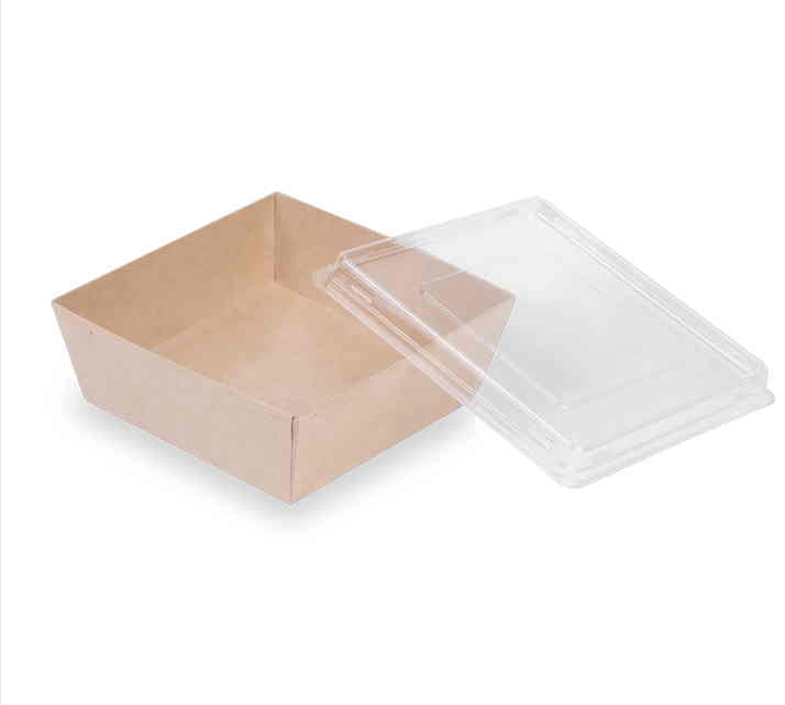 Контейнер картонный SmartPack КРАФТ 550 box